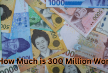 How Much is 300 Million Won