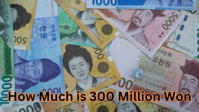 How Much is 300 Million Won